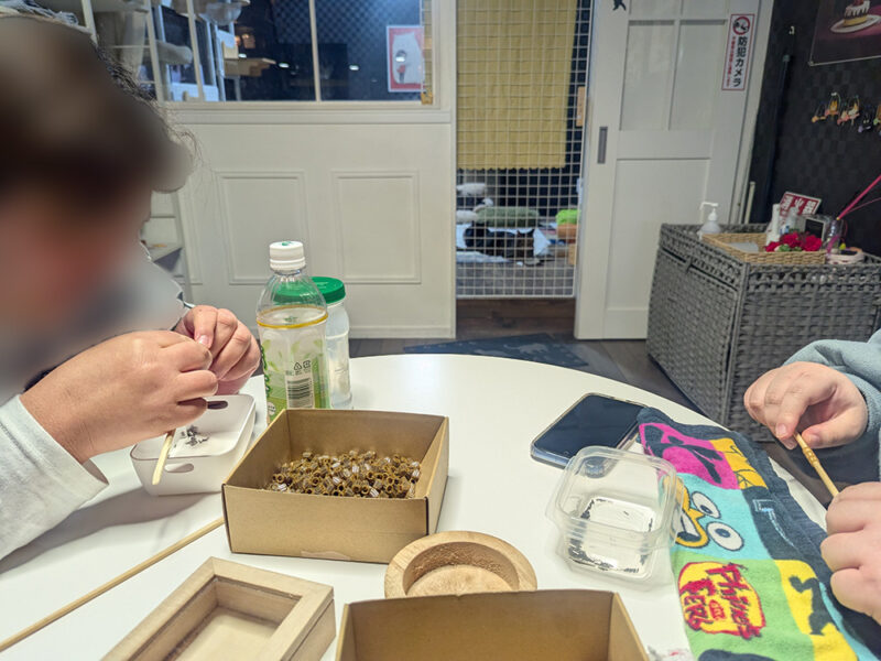 B型事業所ちゃんこりんの猫が見守る作業風景