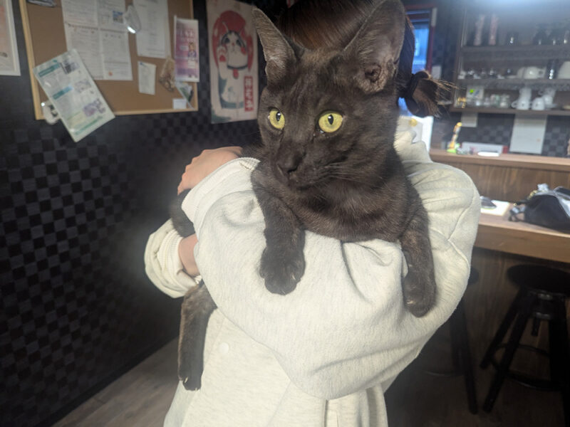 抱っこされるベアーくん