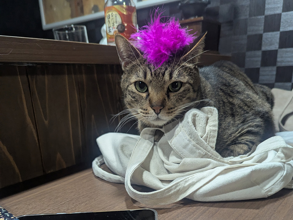 バッグの上でくつろぐティガーくん