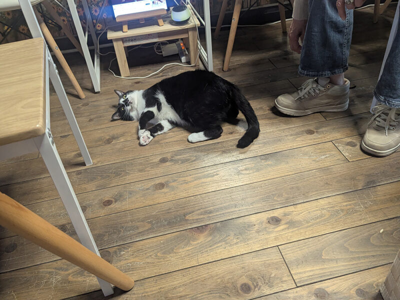 ゴロにゃ〜んと横になるナオくん